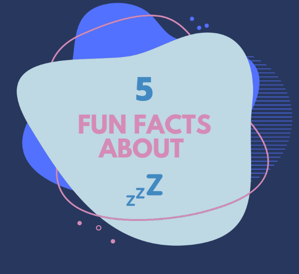 5 Interesting and Fun Facts About Sleep